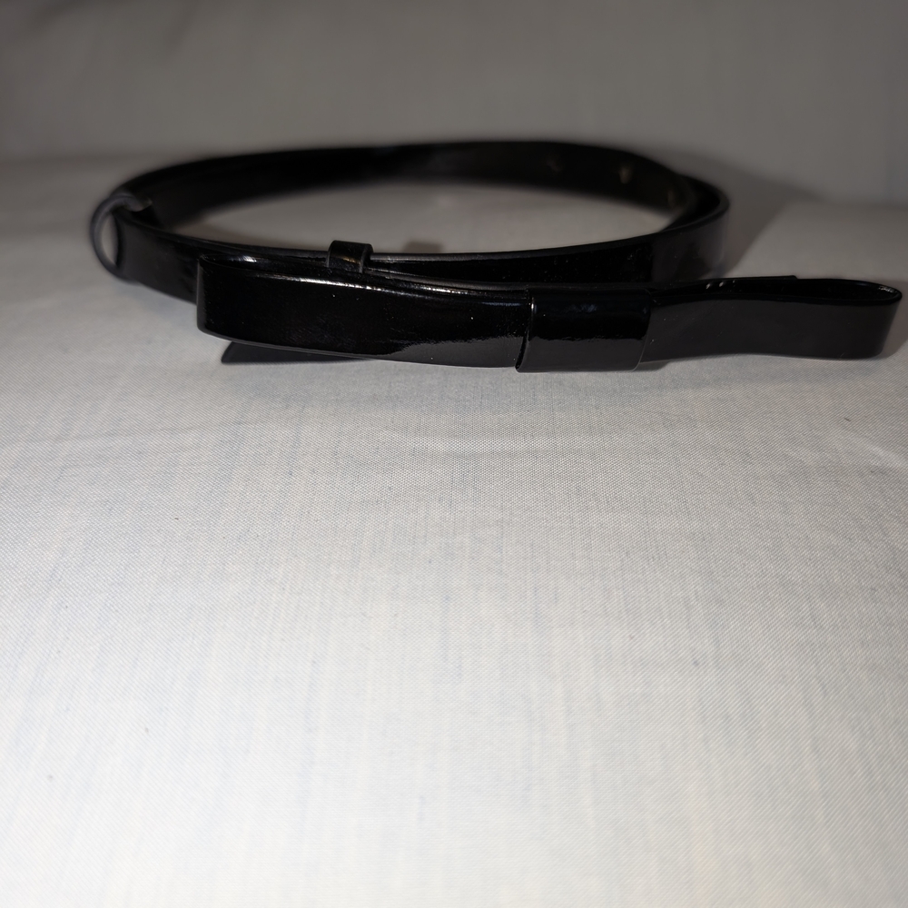 Sleek Black Belt